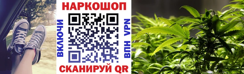 Магазины продажи наркотиков Пудож COCAIN АМФЕТАМИН Меф ГАШ Канабис