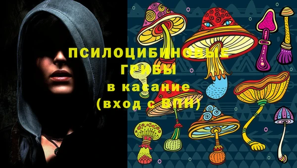 ПСИЛОЦИБИНОВЫЕ ГРИБЫ Саяногорск