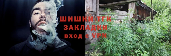 индика Железногорск-Илимский