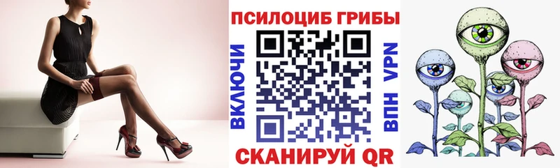 Псилоцибиновые грибы MAGIC MUSHROOMS  наркошоп  Пудож 